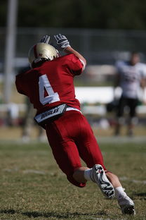 星空体育中国-冠军球队赛季告别仪式感人,感恩球员与球迷,球队夺冠怎么发朋友圈